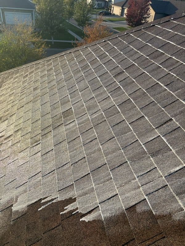 Professional applying roof rejuvenation spray treatment to asphalt shingles